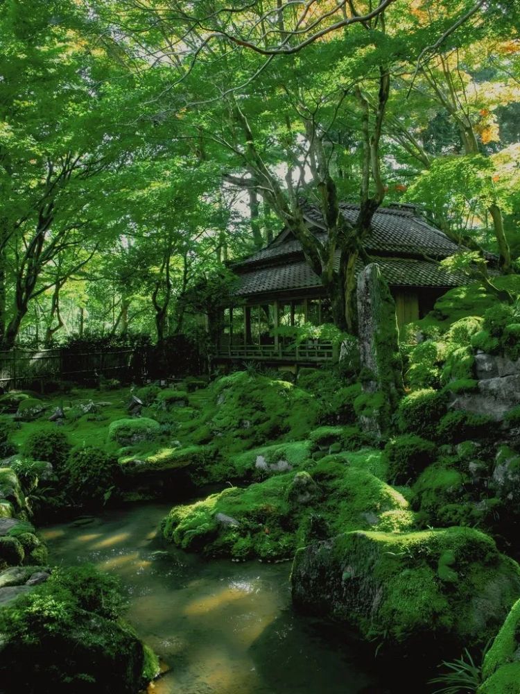 第253期：永野芽郁插足坂口健太郎多角恋？石破茂辞职；悠仁亲王举行成年式；中国电视占据日本市场 | 百通板