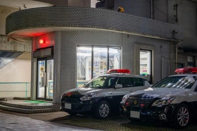 日本两色狼假扮黑社会白嫖无数少女，结果被真·黑帮女爆锤？