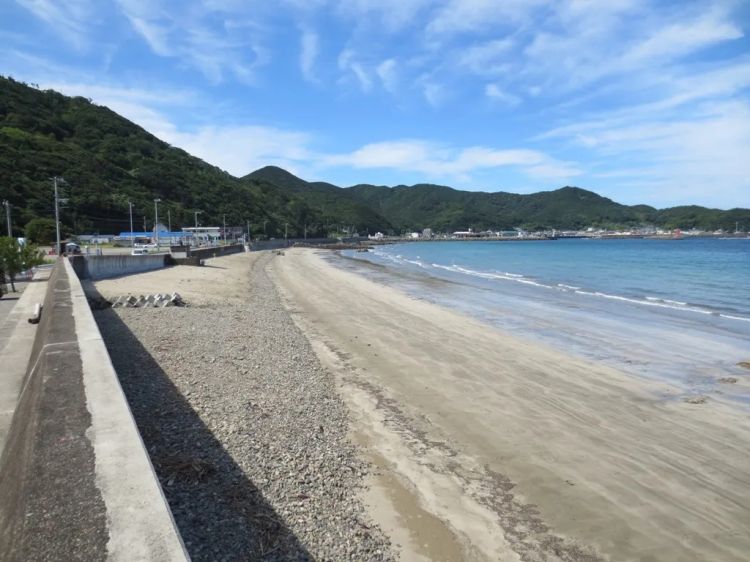 63岁日本女神棍勒索8000万，捞了房子还杀人，一切疯狂只为未成年的情人？