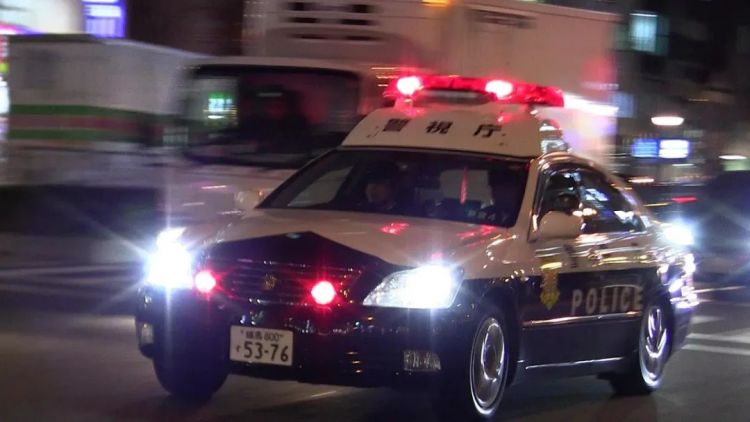 日本两色狼假扮黑社会白嫖无数少女，结果被真·黑帮女爆锤？