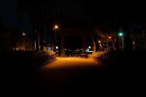 日本两色狼假扮黑社会白嫖无数少女，结果被真·黑帮女爆锤？