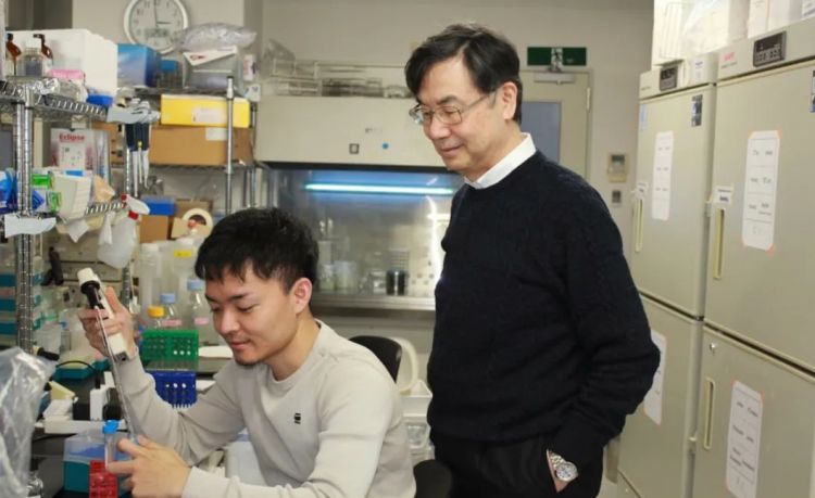 日本又炸了！74岁科学疯子靠“免疫刹车”拿下诺贝尔奖，全国沸腾