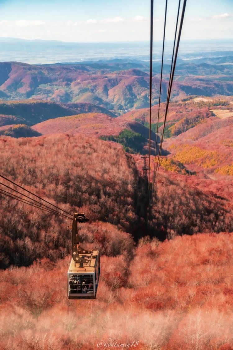第260期：特朗普与高市早苗会面；龟梨和也与田中美奈实分手？日本熊灾肆虐；安倍晋三枪击案公审 | 百通板