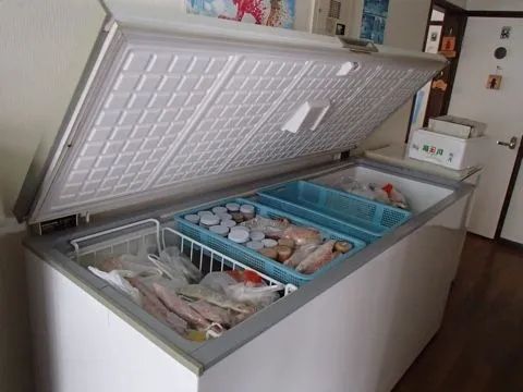 日本母亲杀女冰柜藏尸20年后自首，对外打造“好人人设”，对内让丈夫和婆婆集体沉默？！