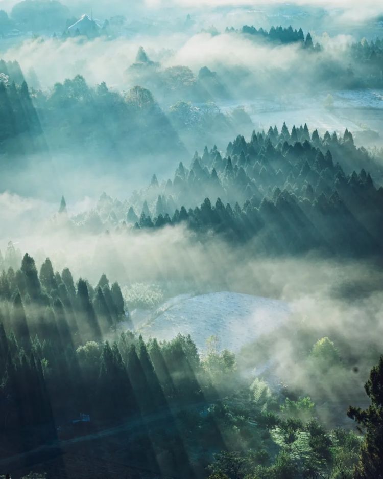 第261期：中国对日免签延长；木村拓哉长女恋爱？中日轮值APEC主席国；哥斯拉续作定名；日本熊灾 | 百通板