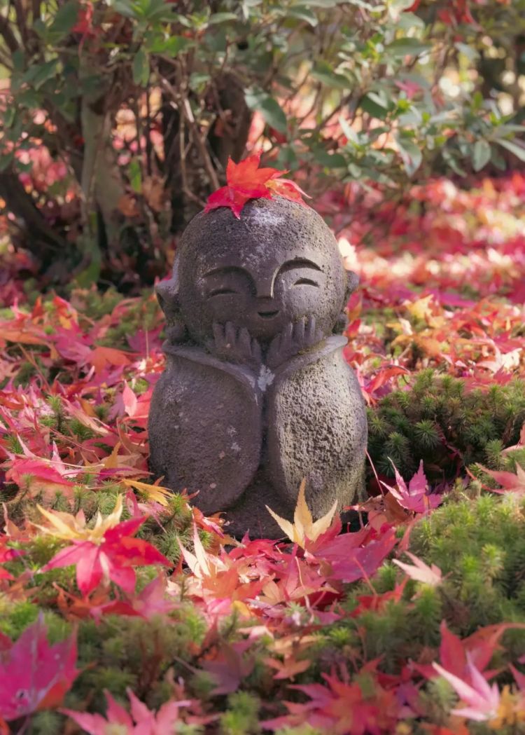 第262期:suica西瓜卡企鹅要毕业?宝可梦新作定档明年;日系车企财报赤字频出?日本熊灾破纪录;aespa将登红白?| 百通板 第262期:suica西瓜卡企鹅要毕业?宝可梦新作定档明年;日系车企财报赤字频出?日本熊灾破纪录;aespa将登红白?| 百通板