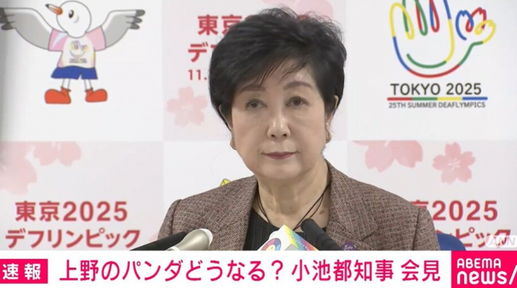 日本即将没有熊猫?东京知事回应 日本即将没有熊猫?东京知事回应