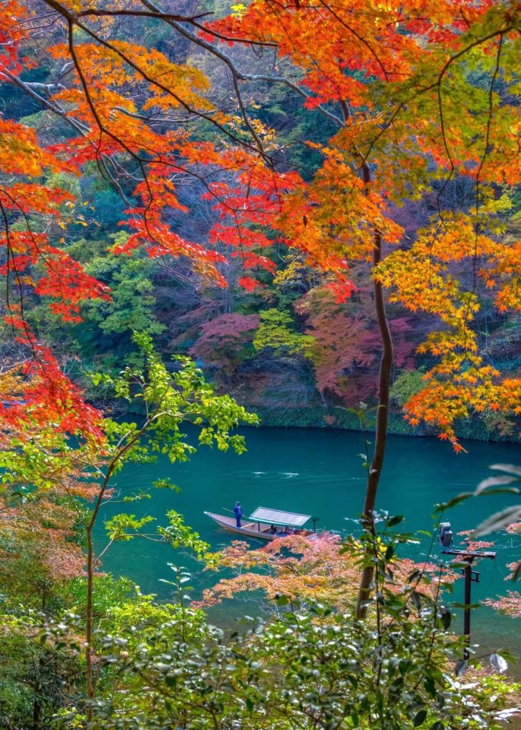 第263期：赴日旅游减少 日本将损失1.7万亿？NHK红白歌会名单出炉；日本GD日本GDP现负增长 | 百通板