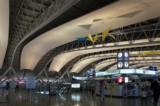 中国游客在日本关西机场坠落身亡,同游母亲当场目睹悲剧? 中国游客在日本关西机场坠落身亡,同游母亲当场目睹悲剧?