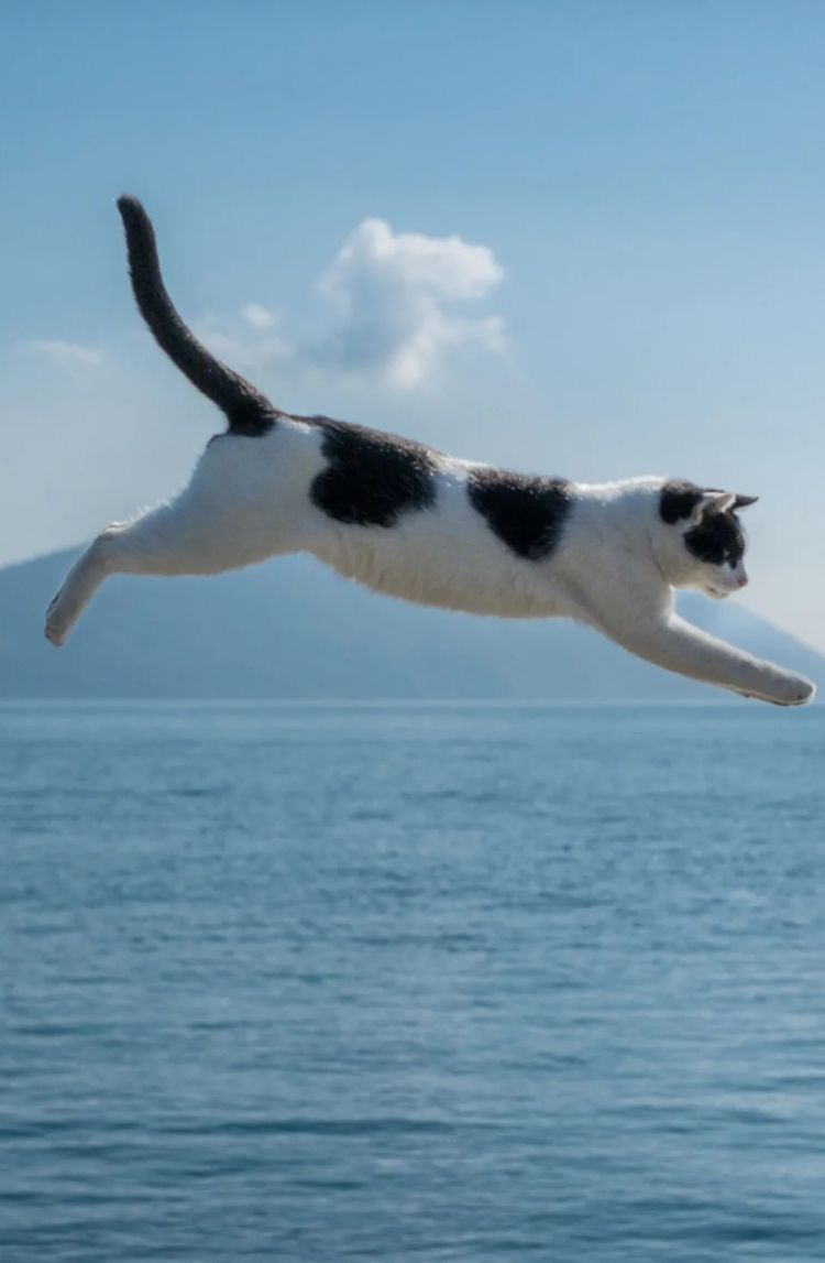 第264期：在华演出接连取消 日本音乐人怒批日本政府？中国暂停日本水产进口；唱片大奖公布 | 百通板