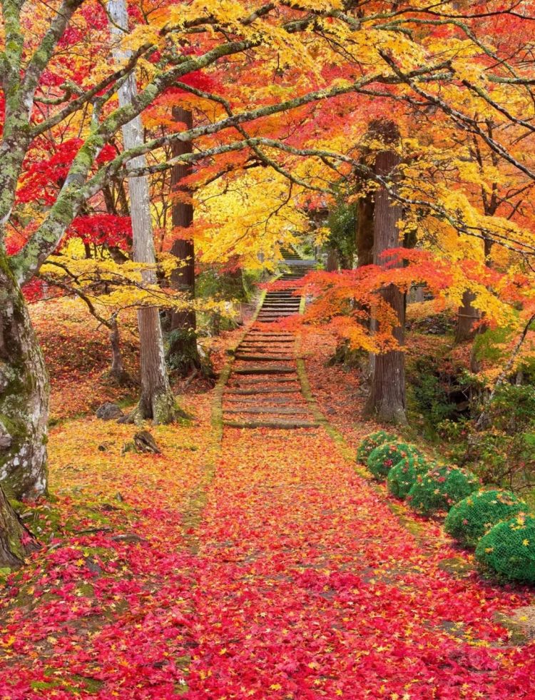 第264期：在华演出接连取消 日本音乐人怒批日本政府？中国暂停日本水产进口；唱片大奖公布 | 百通板