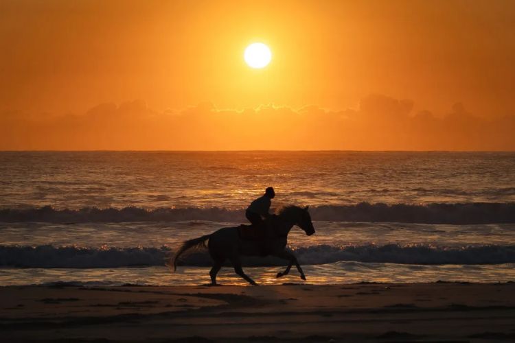 第265期:高市早苗名言当选日本年度流行语?东京拟提高住宿税;滨崎步演唱会紧急叫停?| 百通板 第265期:高市早苗名言当选日本年度流行语?东京拟提高住宿税;滨崎步演唱会紧急叫停?| 百通板