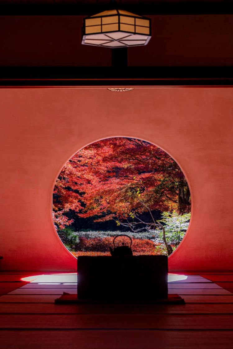 第265期:高市早苗名言当选日本年度流行语?东京拟提高住宿税;滨崎步演唱会紧急叫停?| 百通板 第265期:高市早苗名言当选日本年度流行语?东京拟提高住宿税;滨崎步演唱会紧急叫停?| 百通板