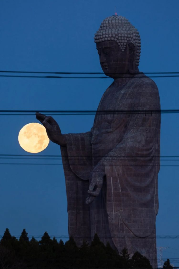 第266期:日本GDP增速下调?永野芽郁将复出?日本多所大学拟上调留学生学费?日本再发大地震;AKB48举行20周年演唱会 | 百通板 第266期:日本GDP增速下调?永野芽郁将复出?日本多所大学拟上调留学生学费?日本再发大地震;AKB48举行20周年演唱会 | 百通板