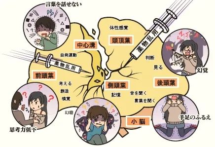 在日本染上毒品,记录会被谁知道? 在日本染上毒品,记录会被谁知道?