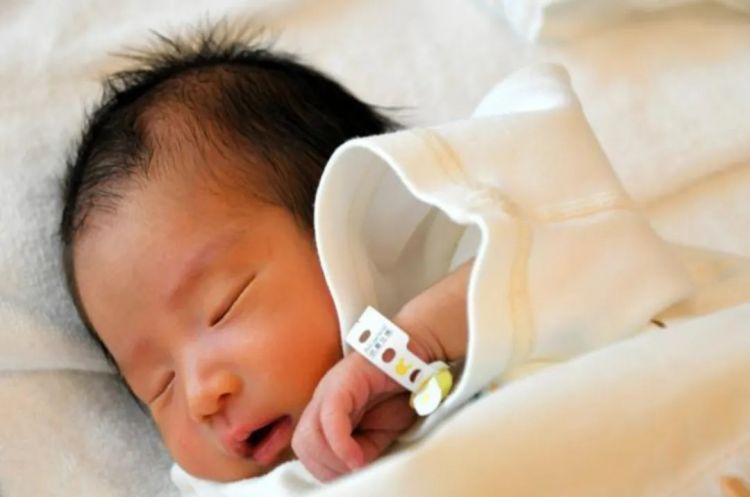 第266期:日本GDP增速下调?永野芽郁将复出?日本多所大学拟上调留学生学费?日本再发大地震;AKB48举行20周年演唱会 | 百通板 第266期:日本GDP增速下调?永野芽郁将复出?日本多所大学拟上调留学生学费?日本再发大地震;AKB48举行20周年演唱会 | 百通板