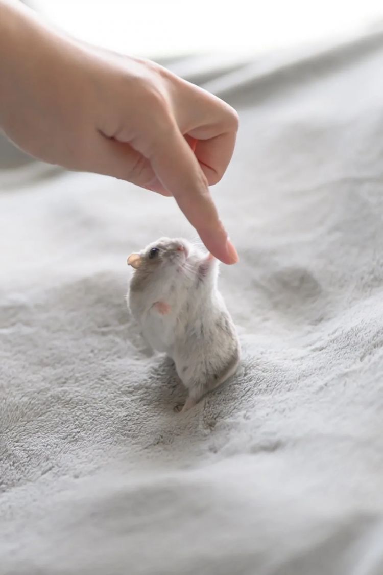 第266期:日本GDP增速下调?永野芽郁将复出?日本多所大学拟上调留学生学费?日本再发大地震;AKB48举行20周年演唱会 | 百通板 第266期:日本GDP增速下调?永野芽郁将复出?日本多所大学拟上调留学生学费?日本再发大地震;AKB48举行20周年演唱会 | 百通板