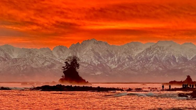 第267期:新一批731细菌战罪证公布;日本年度汉字揭晓;日本近7成支持女性天皇?日本将没有大熊猫?| 百通板 第267期:新一批731细菌战罪证公布;日本年度汉字揭晓;日本近7成支持女性天皇?日本将没有大熊猫?| 百通板