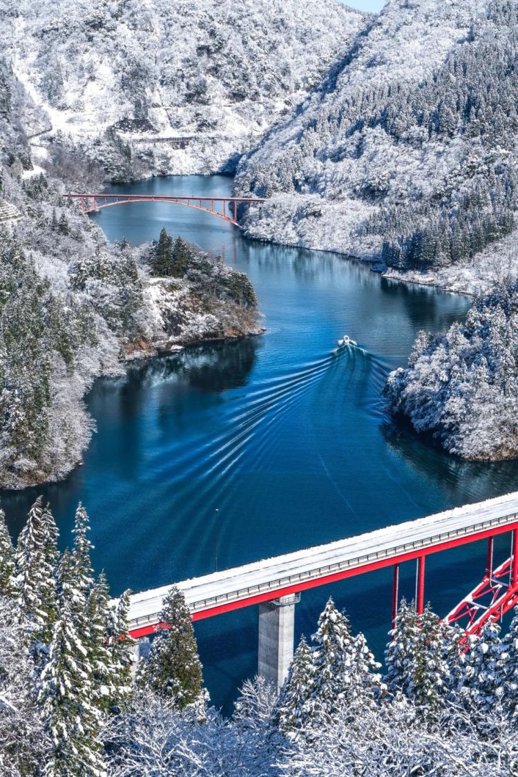 第267期:新一批731细菌战罪证公布;日本年度汉字揭晓;日本近7成支持女性天皇?日本将没有大熊猫?| 百通板 第267期:新一批731细菌战罪证公布;日本年度汉字揭晓;日本近7成支持女性天皇?日本将没有大熊猫?| 百通板