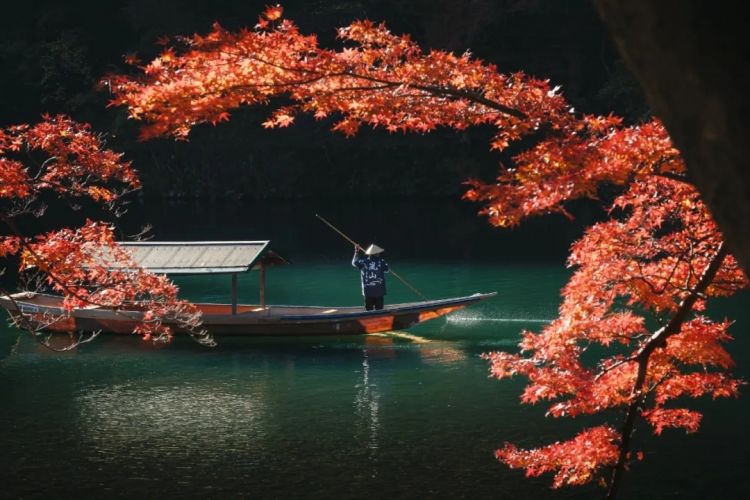 第267期:新一批731细菌战罪证公布;日本年度汉字揭晓;日本近7成支持女性天皇?日本将没有大熊猫?| 百通板 第267期:新一批731细菌战罪证公布;日本年度汉字揭晓;日本近7成支持女性天皇?日本将没有大熊猫?| 百通板