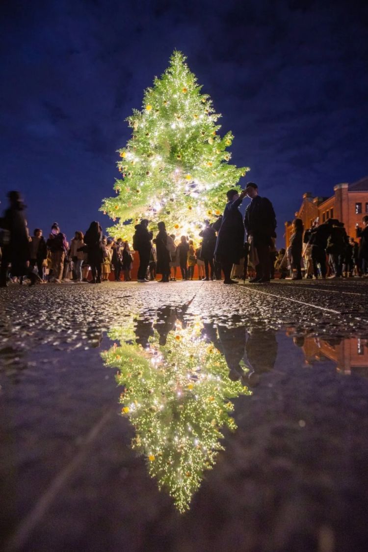 第268期：日本拥核论遭日本民众强烈抗议；安倍晋三刺杀案或判刑无期？新木优子中岛裕翔将结婚？福原爱再婚 | 百通板