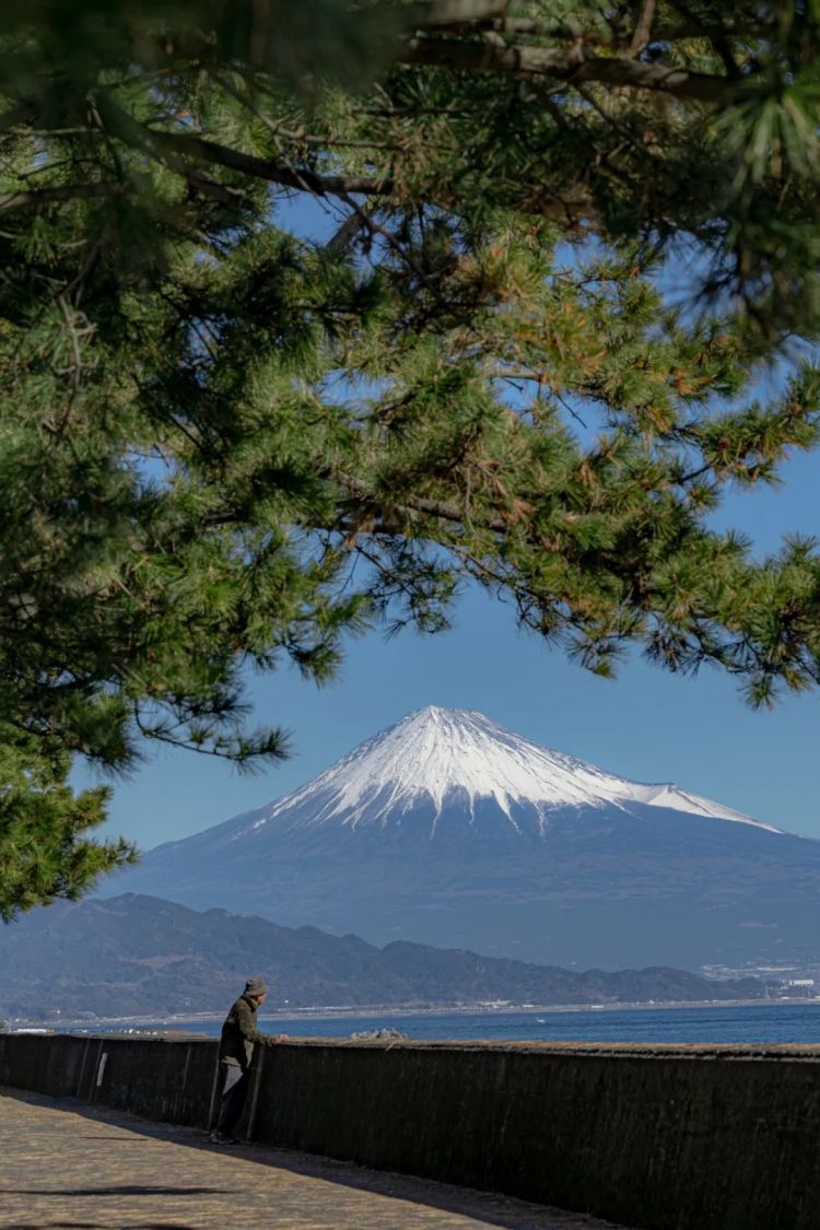 第268期：日本拥核论遭日本民众强烈抗议；安倍晋三刺杀案或判刑无期？新木优子中岛裕翔将结婚？福原爱再婚 | 百通板