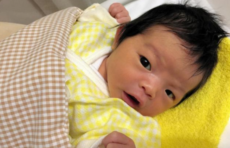 第269期：日本投入62亿应对熊害；松田圣子加盟红白；堂本光一宣布结婚；日本出生率再创新低？全球百大最美面孔出炉 | 百通板