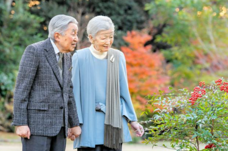 第269期：日本投入62亿应对熊害；松田圣子加盟红白；堂本光一宣布结婚；日本出生率再创新低？全球百大最美面孔出炉 | 百通板