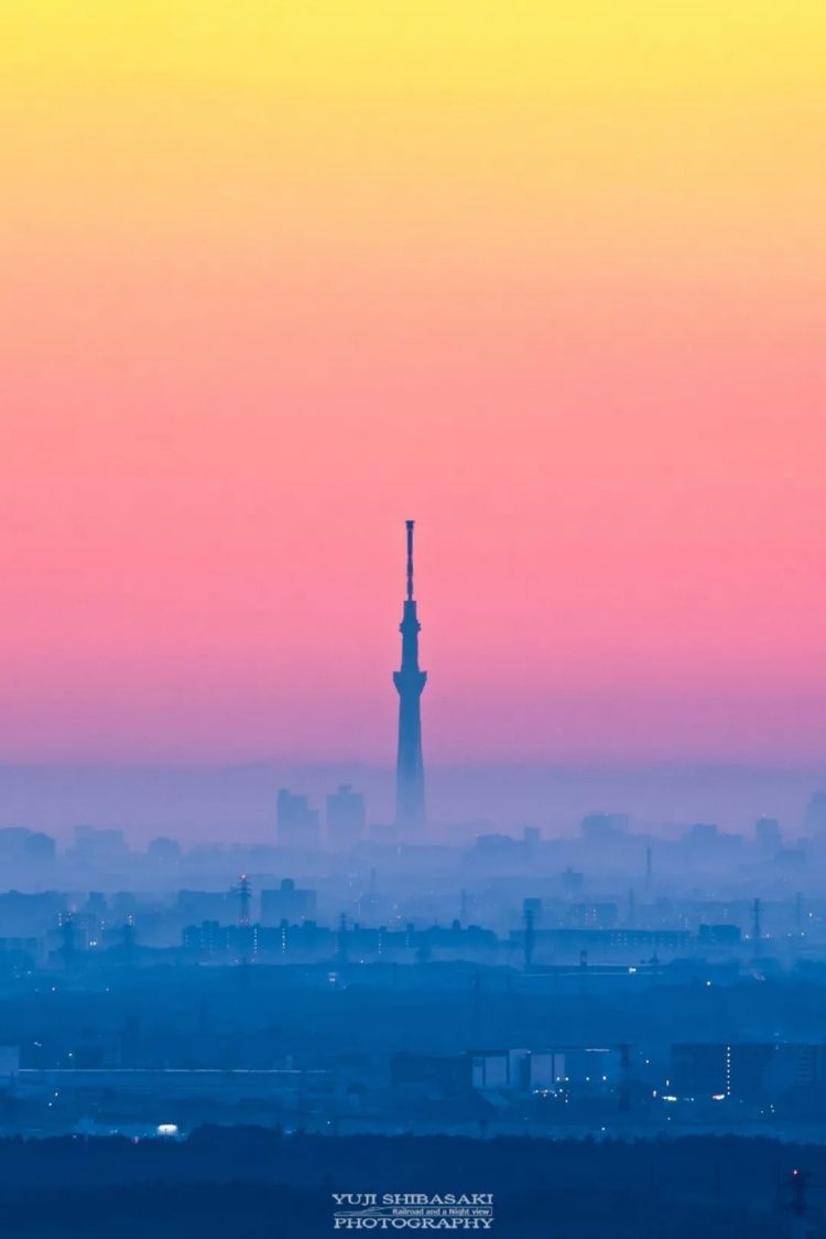 第269期：日本投入62亿应对熊害；松田圣子加盟红白；堂本光一宣布结婚；日本出生率再创新低？全球百大最美面孔出炉 | 百通板