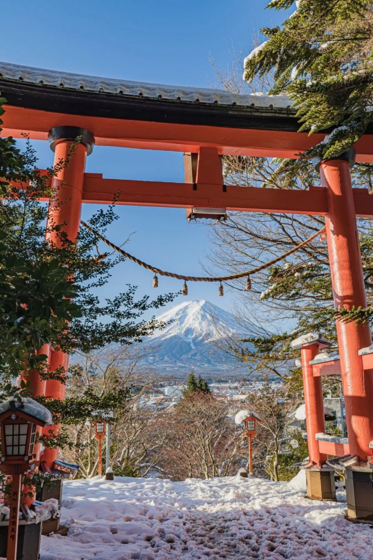 第269期：日本投入62亿应对熊害；松田圣子加盟红白；堂本光一宣布结婚；日本出生率再创新低？全球百大最美面孔出炉 | 百通板