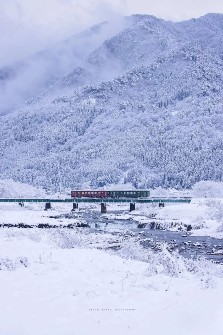 第269期：日本投入62亿应对熊害；松田圣子加盟红白；堂本光一宣布结婚；日本出生率再创新低？全球百大最美面孔出炉 | 百通板