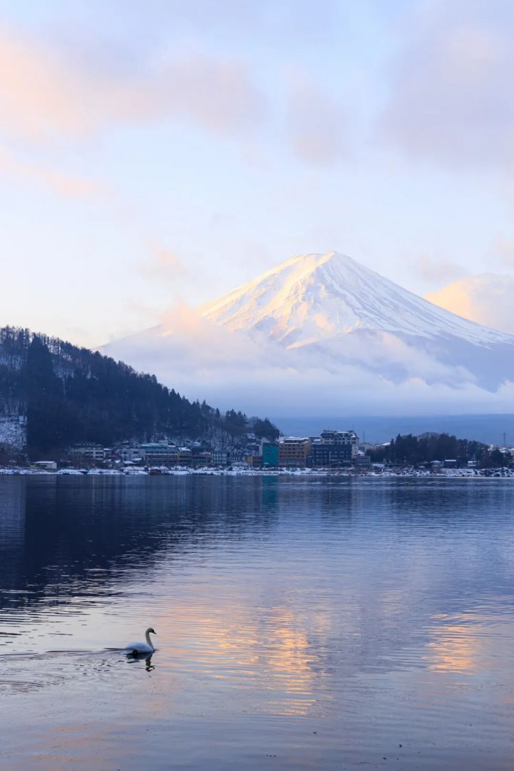 第269期：日本投入62亿应对熊害；松田圣子加盟红白；堂本光一宣布结婚；日本出生率再创新低？全球百大最美面孔出炉 | 百通板