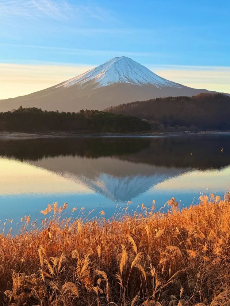 第269期：日本投入62亿应对熊害；松田圣子加盟红白；堂本光一宣布结婚；日本出生率再创新低？全球百大最美面孔出炉 | 百通板