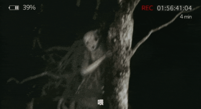 日本伪纪录片鬼才导演又出手了,恐怖拉满! 日本伪纪录片鬼才导演又出手了,恐怖拉满!