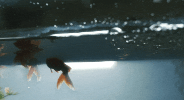 日本伪纪录片鬼才导演又出手了,恐怖拉满! 日本伪纪录片鬼才导演又出手了,恐怖拉满!