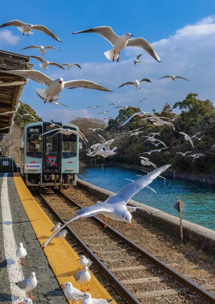 第271期：中国对日本实施出口管制；北海道餐馆墙壁藏尸？高市早苗将解散众议院 日本或提前大选？XG改名 | 百通板