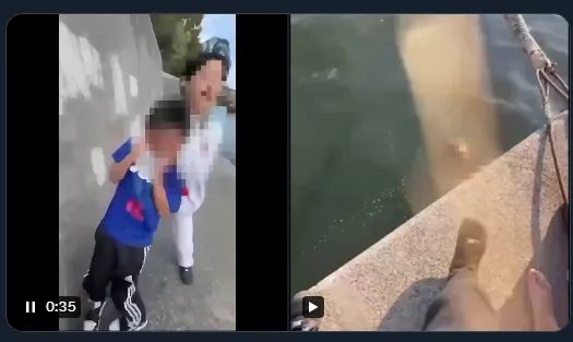 那些拍下霸凌视频并炫耀的日本少年，正面临一场前所未有的全网围剿