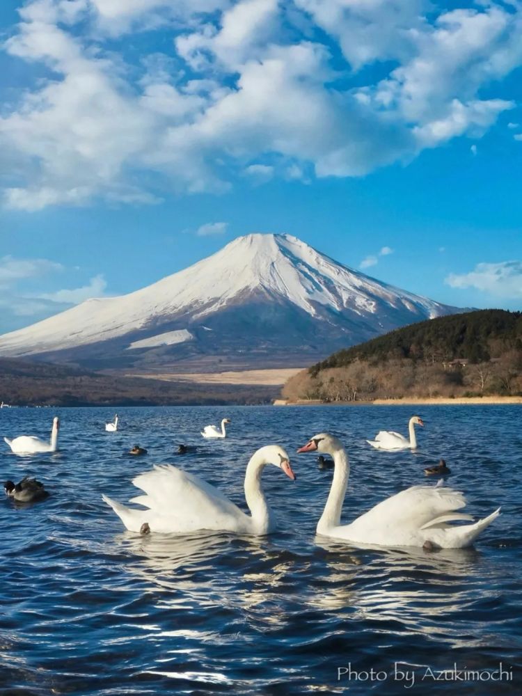 第272期:日本将提前大选 创下最快记录?日本前首相退出政坛 曾颁布令和年号;米仓凉子再陷涉毒疑云 | 百通板 第272期:日本将提前大选 创下最快记录?日本前首相退出政坛 曾颁布令和年号;米仓凉子再陷涉毒疑云 | 百通板