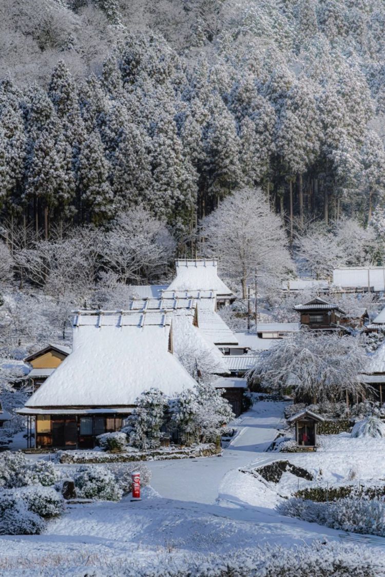 第272期:日本将提前大选 创下最快记录?日本前首相退出政坛 曾颁布令和年号;米仓凉子再陷涉毒疑云 | 百通板 第272期:日本将提前大选 创下最快记录?日本前首相退出政坛 曾颁布令和年号;米仓凉子再陷涉毒疑云 | 百通板