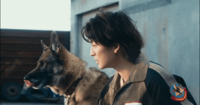 好厉害！狗狗电影竟然拍出了苦难人间