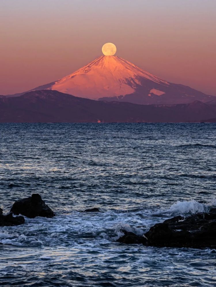 第273期：安倍晋三遇刺案宣判无期；提前大选 高市早苗支持率骤降？上野双胞胎熊猫回国 日本再无大熊猫？| 百通板