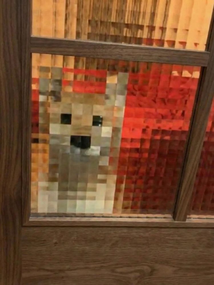 第273期：安倍晋三遇刺案宣判无期；提前大选 高市早苗支持率骤降？上野双胞胎熊猫回国 日本再无大熊猫？| 百通板