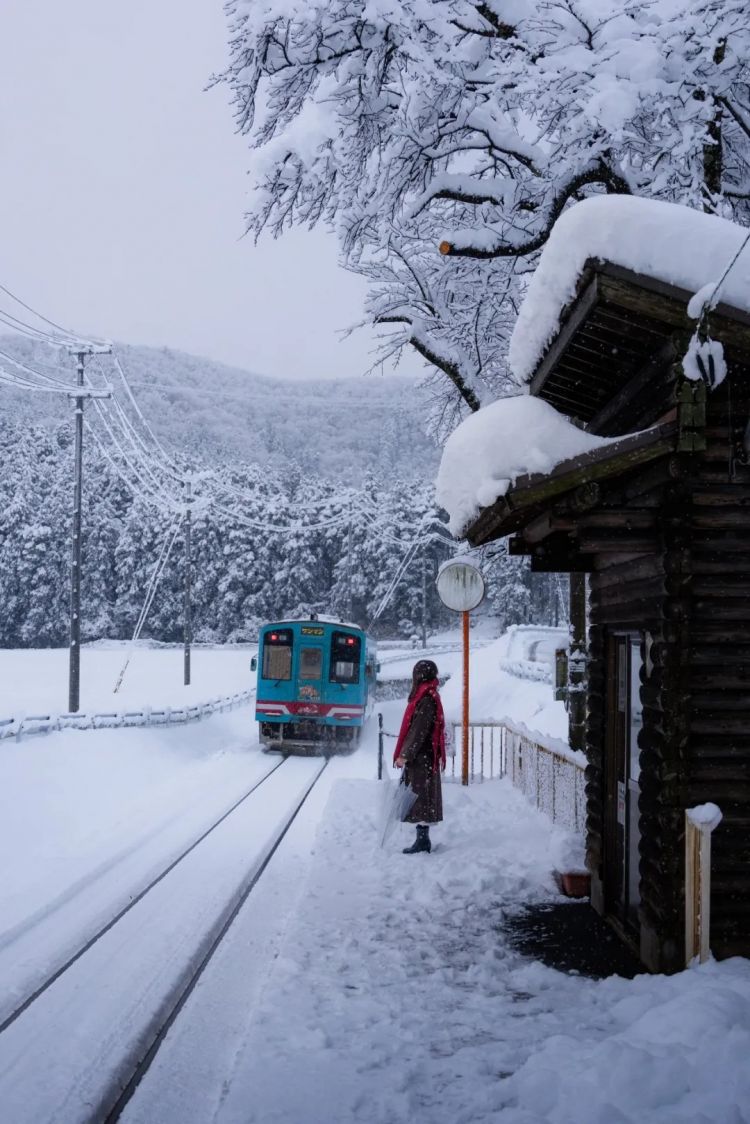 第273期：安倍晋三遇刺案宣判无期；提前大选 高市早苗支持率骤降？上野双胞胎熊猫回国 日本再无大熊猫？| 百通板