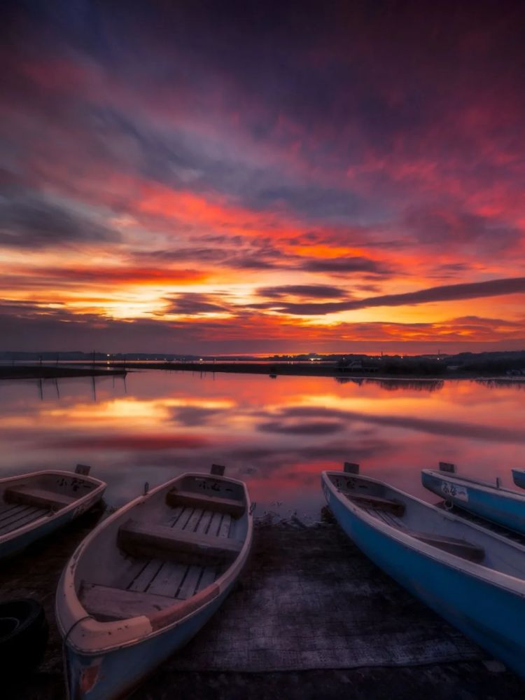 第273期：安倍晋三遇刺案宣判无期；提前大选 高市早苗支持率骤降？上野双胞胎熊猫回国 日本再无大熊猫？| 百通板