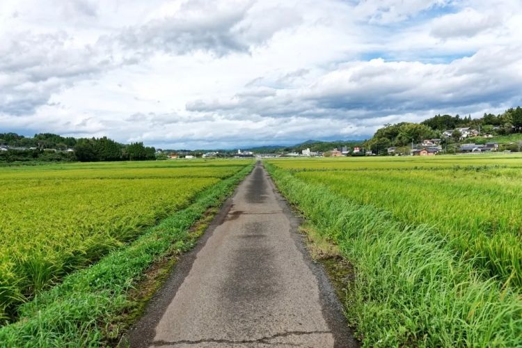 中国42岁男子猥亵老人被捕，而且还是第三次了？都给日本人整无语了……