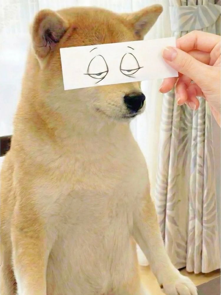 第275期:众议院选举大胜 日本进入高市早苗首相时代?米兰冬奥日本花滑团体摘银;平成的山口百惠闪婚?| 百通板 第275期:众议院选举大胜 日本进入高市早苗首相时代?米兰冬奥日本花滑团体摘银;平成的山口百惠闪婚?| 百通板