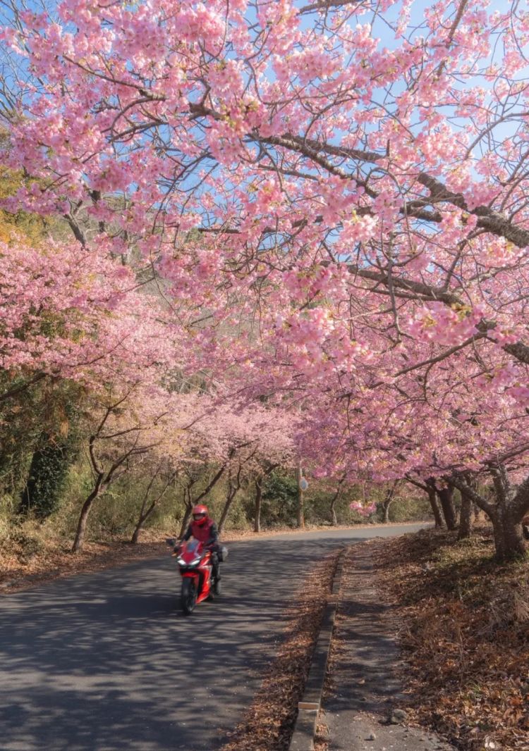 高市早苗连任;米兰冬奥男子花滑爆冷?《柯南》毛利兰声优病休 娜美声优代班?中森明菜复出巡演;| 百通板 高市早苗连任;米兰冬奥男子花滑爆冷?《柯南》毛利兰声优病休 娜美声优代班?中森明菜复出巡演;| 百通板