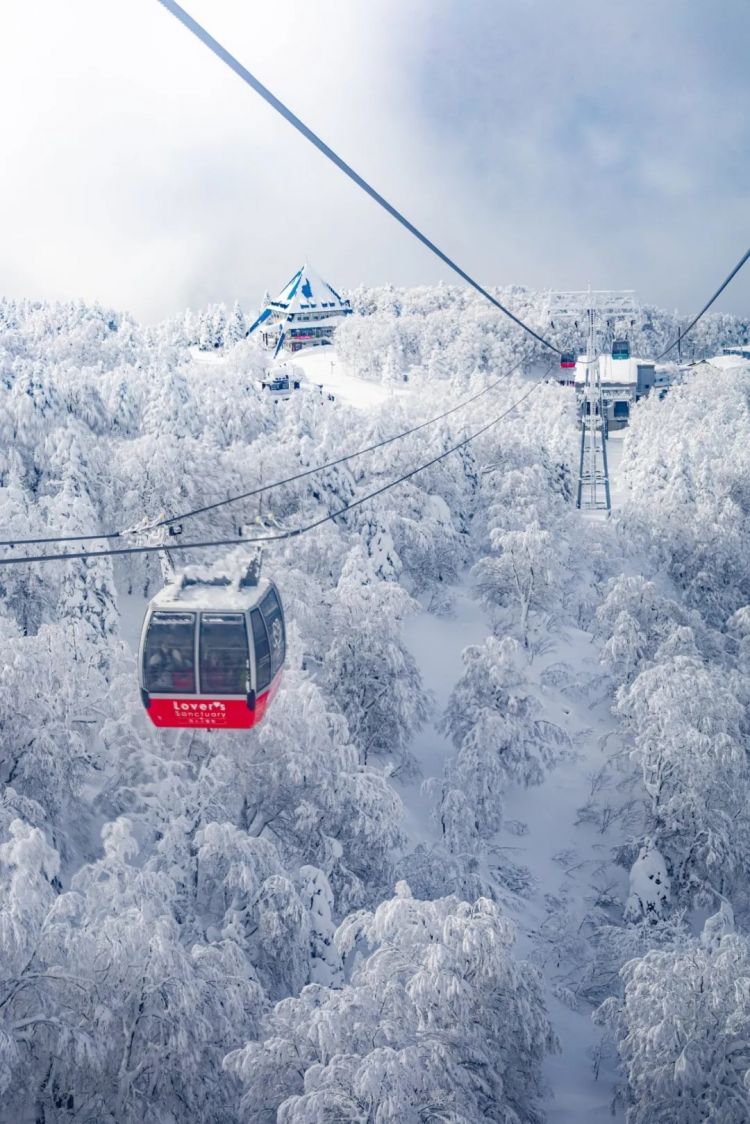 第277期:特朗普新关税再临?《EVA》官宣新作;东京晴空塔电梯突发故障?樱桃小丸子联动蜡笔小新;冬奥收官 | 百通板 第277期:特朗普新关税再临?《EVA》官宣新作;东京晴空塔电梯突发故障?樱桃小丸子联动蜡笔小新;冬奥收官 | 百通板