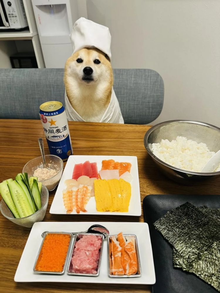 第278期：中国游客被撞身亡案开庭；小学馆包庇性犯罪编剧复出？宇多田光X樱桃小丸子联动；宝可梦30周年 | 百通板