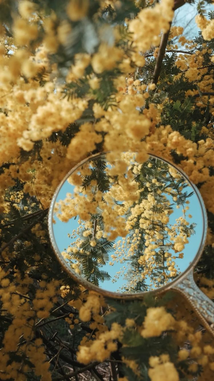 第279期:日本将征单身税?任天堂起诉特朗普?富士山再发登山事故;吴彦祖接替木村拓哉?| 百通板 第279期:日本将征单身税?任天堂起诉特朗普?富士山再发登山事故;吴彦祖接替木村拓哉?| 百通板